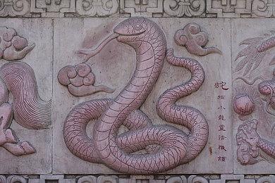 互动影视游戏《晨昏线》线人档案VOL.2 成风娱乐