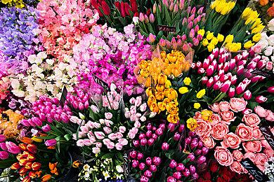 TGA：吃豆人新作《暗斗迷宫》预告